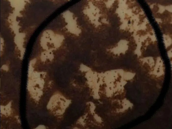 Запись к гадалке Троицка